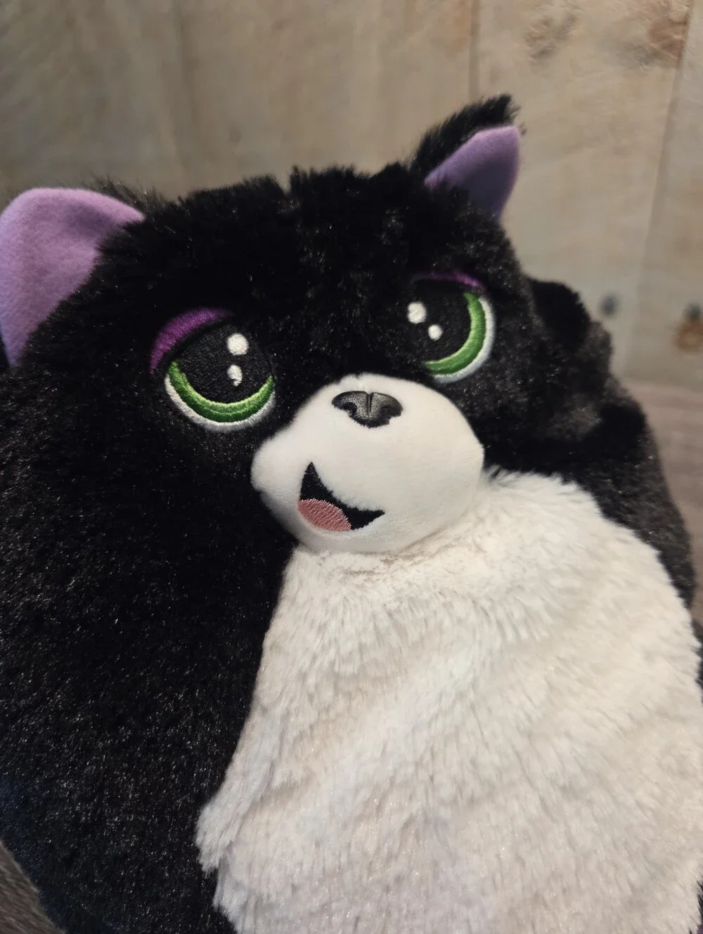 Misfitten Get Meowt Kitten Cat